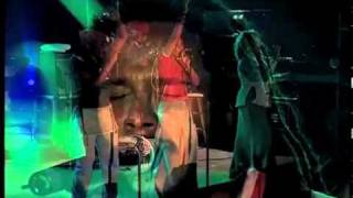 Watch Ziggy Marley Higher Vibrations video