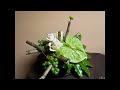 Video art floral.hiver2011.wmv