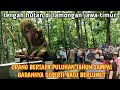 HEBOH !! ORANG BERTAPA PULUHAN TAHUN SAMPAI BADANYA SEPERTI BATU BERLUMUT | Tengah hutan di lamongan