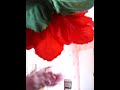 Pesen Za Isus images Pesen Za Isus
