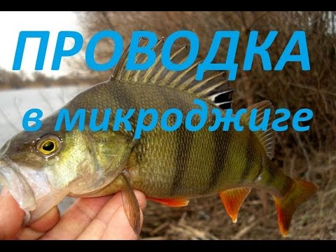 микроджиговая ловля видео микроджиговая ловля видео
