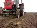 Zetor 3011 - kultywatorowanie i bronowanie. Wiosna 2013
