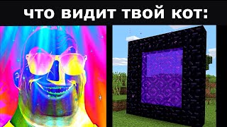 Что Видишь Ты Vs Что Видит Твой Кот (Часть 2)