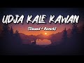 Udja Kale Kawan (Slowed + Reverb) | Gadar | Victory | Lofi Song | NYK Music Production