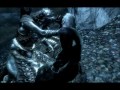 Skyrim kill montage - Wojo's Skyrim Experience