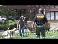Ventura County Sheriff S K 9 Search And Rescue Ventura County Sheriff S K 9 Search And Rescue