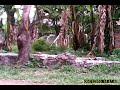 Hasil Spy Cam images Hasil Spy Cam