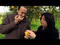 Lush Buying Presents: Italian Citrus Groves Buying Trip