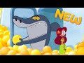 (NEW) Zig & Sharko | A ball on the loose (S03E43) New Episodes in HD