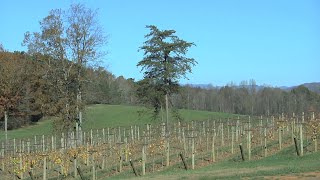 Farm Monitor Broadcast Video
