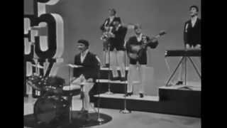 Watch Dave Clark Five Any Way You Want It video