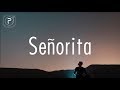 Shawn Mendes, Camila Cabello - Señorita (Lyrics)