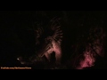 Dinosaur Ride Front Seat (HD POV) Night-Vision Disney's Animal Kingdom Florida