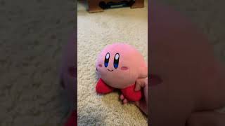 The Most Hated Kirby Character