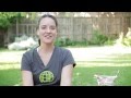 The Food of Turkmenistan with Sasha Martin