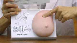 乳房検診モデル，繊維嚢胞性病変，乳管閉塞付：動画