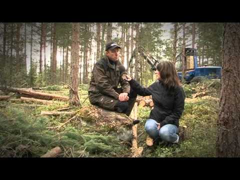 Om timmer, skogsskötsel, plank och brädor.