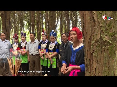 Lễ cúng rừng của người Mông | Phong tục người Mông