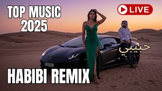 Samarkand Dreams Habibi Deep Remix 2025 Silk Road Chill House Live