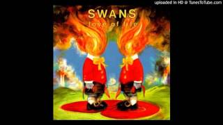 Watch Swans In The Eyes Of Nature video