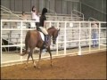Zip Me Im Skareemin- Dressage, T-2
