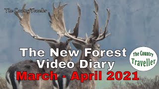 The New Forest Video Diary March - April 2021 #leavenotrace