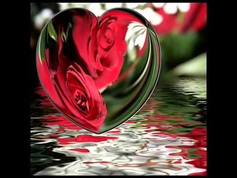 Tugba Ozerk Dogum Gunun Kutlu Olsun Tugba Ozerk Dogum Gunun Kutlu Olsun klip izle
