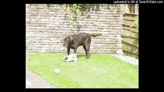 Watch Unknown Never Stop video