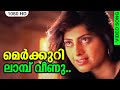 മെർക്കുറി ലാമ്പ് വീണു HD | Malayalam Evergreen Song | MERCURI LAMP | SAINYAM | Vikram & Priya Raman