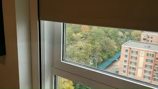Designer Lutron Blackout Shades