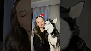 Köpeğimi Sahiplenme Hikayem Sibirya Kurdu Ve Pınar Filoğlu