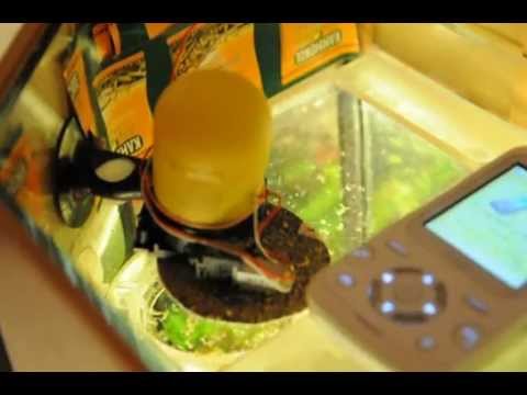 Кормушка для аквариума видео