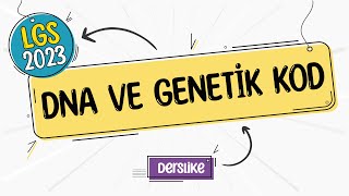 Dna Ve Genetik Kod Lgs 2023