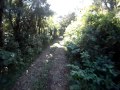 Descida da Serra da Graciosa de bicicleta