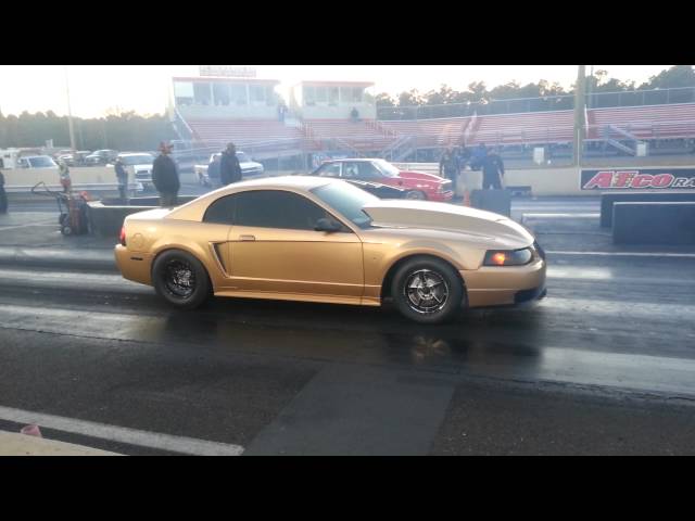 Video Preview Image