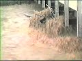 Parsons WV 1985 Flood - Home Video Footage 1 of 6