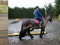 Me with hattie having a private lesson at billz equestrian.x