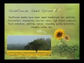 338 - Great Things Grow in Small Packages / Healthy from the Inside Out - Rudy and Jeanie Davis