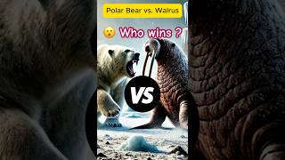 Arctic Showdown Polar Bear Vs Walrus Survival Of The Fittest In The Frozen North