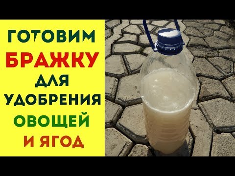 КАК ПРИГОТОВИТЬ ДРОЖЖЕВОЕ УДОБРЕНИЕ СУПЕРПОДКОРМКА ДЛЯ РАСТЕНИЙ КАК ПРИГОТОВИТЬ ДРОЖЖЕВОЕ УДОБРЕНИЕ СУПЕРПОДКОРМКА ДЛЯ РАСТЕНИЙ