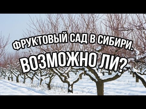 Лучшие сады и садоводы России - Сады Сибири Лучшие сады и садоводы России - Сады Сибири