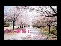 【桐谷健太×THEイナズマ戦隊】君の旅路に桜は笑う