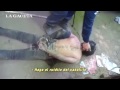 Un policía tucumano torturó a un detenido y quedó filmado