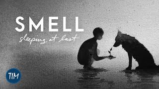 Watch Sleeping At Last Smell video