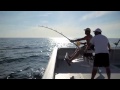 BIG GAME FISHING
