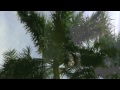 Southern Palms - An Original Composition