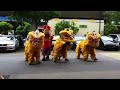 Hd Mua Lan Gangnam Style images Hd Mua Lan Gangnam Style