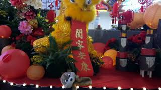 Airport Dragon - Where Is Nelly?