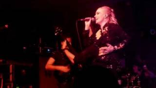 Watch Velvet Seal The Divine Comedy video