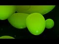 video art